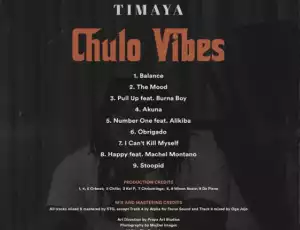 Timaya - Stoopid